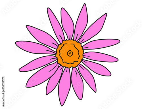 Echinacea Purpurea Flowers isolated on white background. Medicinal Plants. Purple coneflowers. Herbal Medicine.	