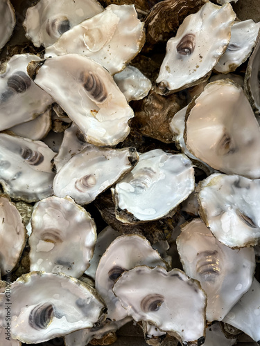 A pile of discarded oyster shells at Whitstable beachfront in Kent, England, UK