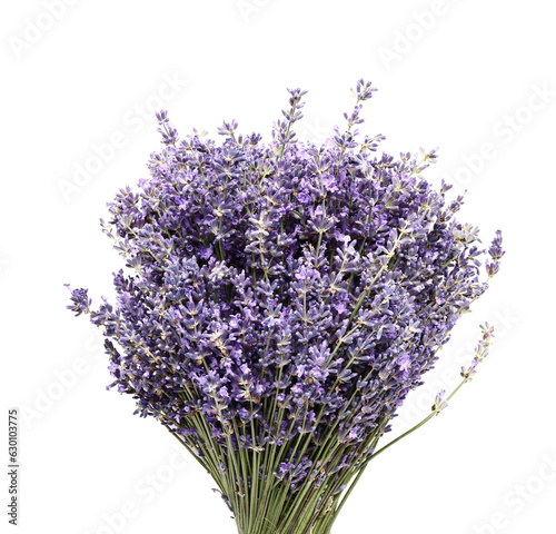 Bouquet of beautiful lavender flowers on white background