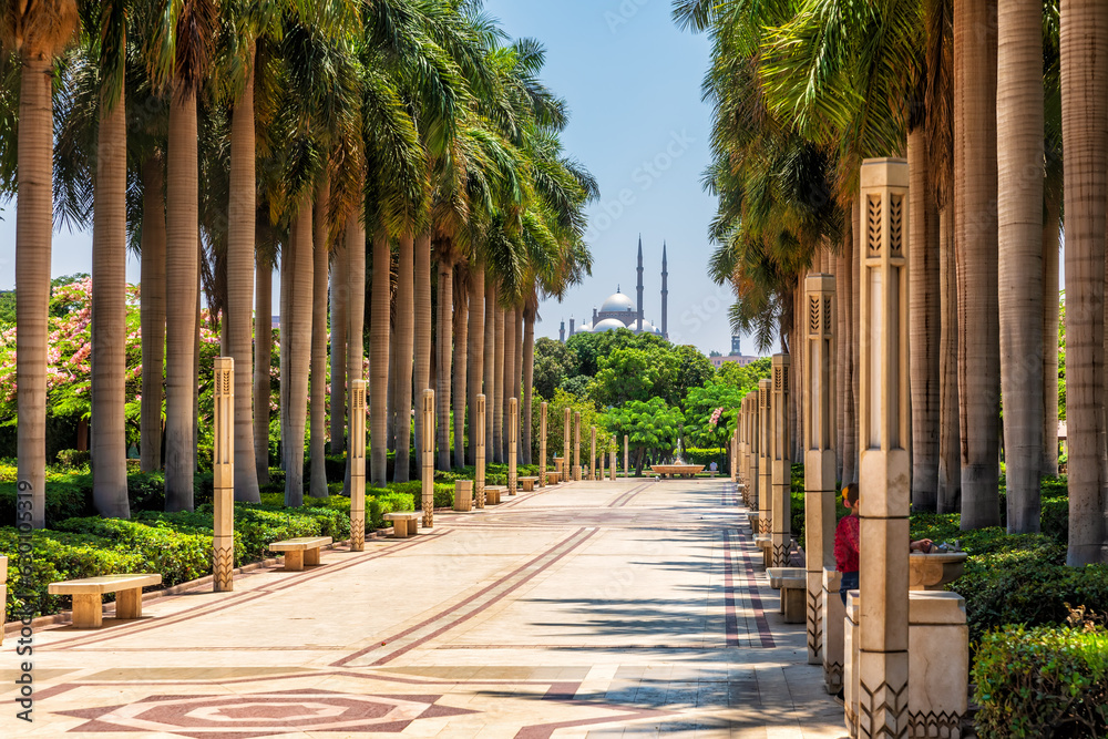 Palm alley in the famous Al-Azhar Park of Cairo, Egypt