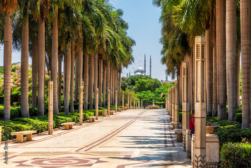 Obraz na płótnie Palm alley in the famous Al-Azhar Park of Cairo, Egypt w salonie
