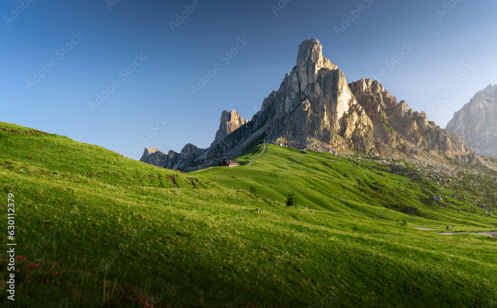 Obraz premium Beautiful green alpine meadow with mountains or mountain peak in the background, Passo Giau or Giau Pass, Dolomites, Italy 