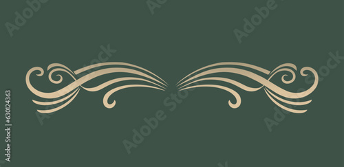 Nice decorative ornament draw