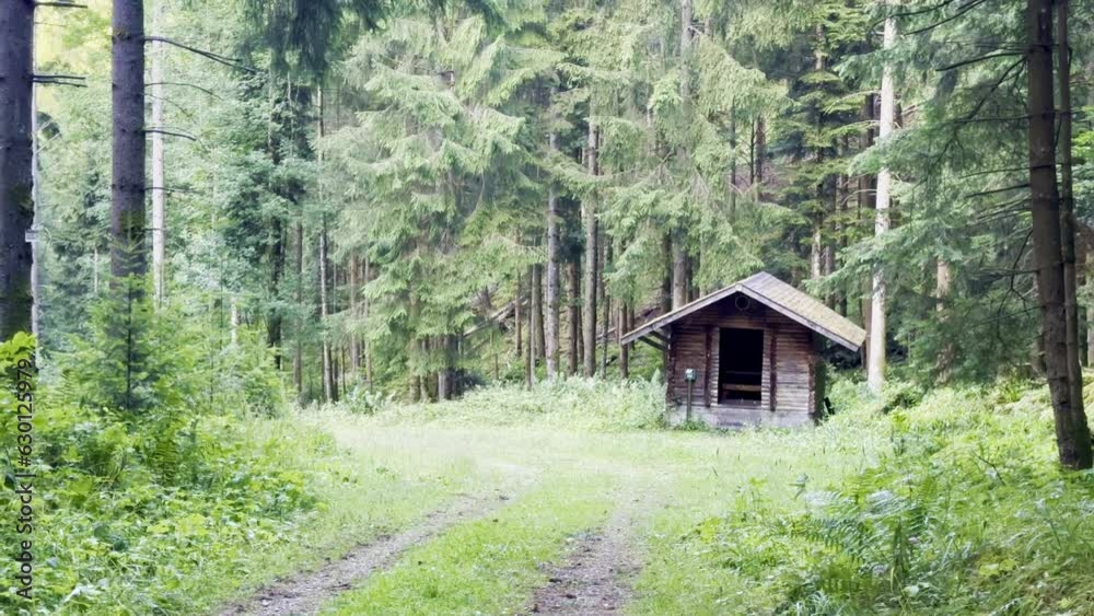 Enchanted Solitude: Jeannot Wood Shelter, A Hiker's Haven in the Heart of the Guebwiller Forest in Lautenbach-Zell, Alsace, France Enchanted Solitude: Jeannot Wood Shelter, A Hiker's Haven in the Heart of the Guebwiller Forest in Lautenbach-Zell, Alsace, France