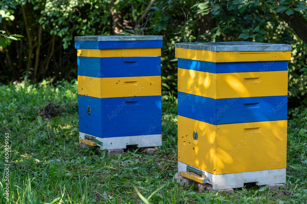 Many set of wooden beehive in the spring garden in the apiary to collect honey. Row of colorful beehives on a small enclosed area Many set of wooden beehive in the spring garden in the apiary to collect honey. Row of colorful beehives on a small enclosed area
