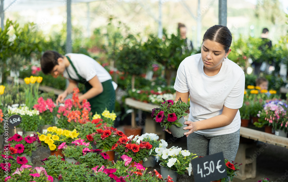 Young woman chooses petunia with densely arranged flowers to decorate office balcony