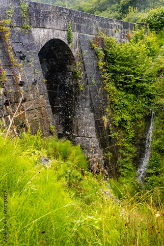 Irish vintage architecture stone bridge landscape travel scene