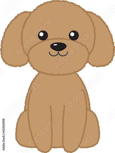 Poodle light brown color cute dog icon.