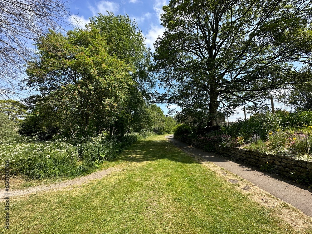 Fototapeta premium View along a green space, close to the river Aire, with old trees, and flowers in, Gargrave, UK