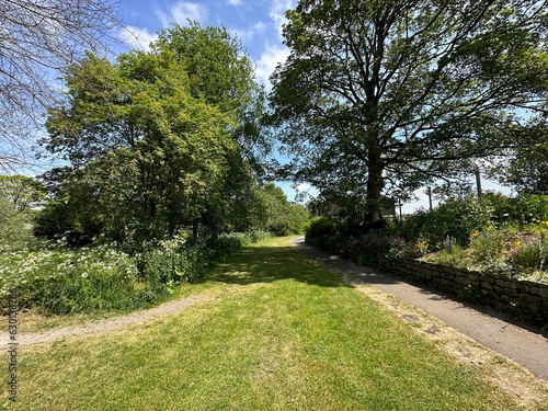 View along a green space, close to the river Aire, with old trees, and flowers in, Gargrave, UK