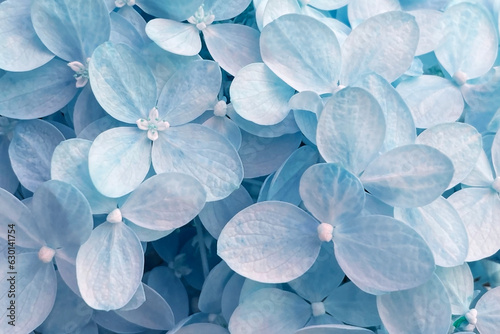 A beautiful backdrop of small blue flowers creates an enchanting and delightful scene, perfect for adding a touch of natural beauty to your designs, presentations, or projects © Elena