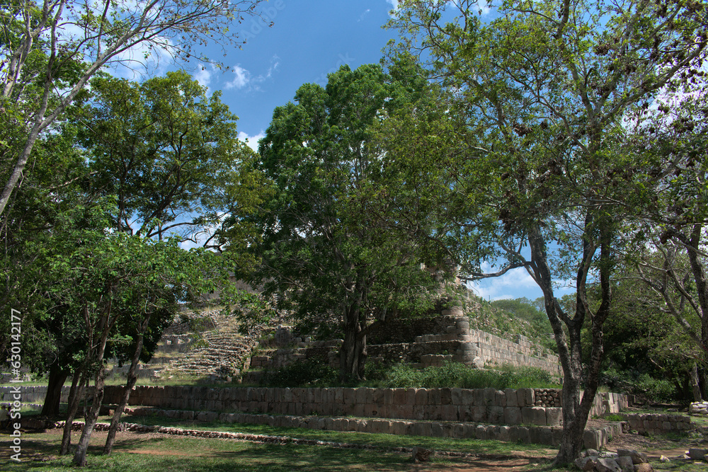 Mayan pyramid covered by vegetation with a tree growing from its base
