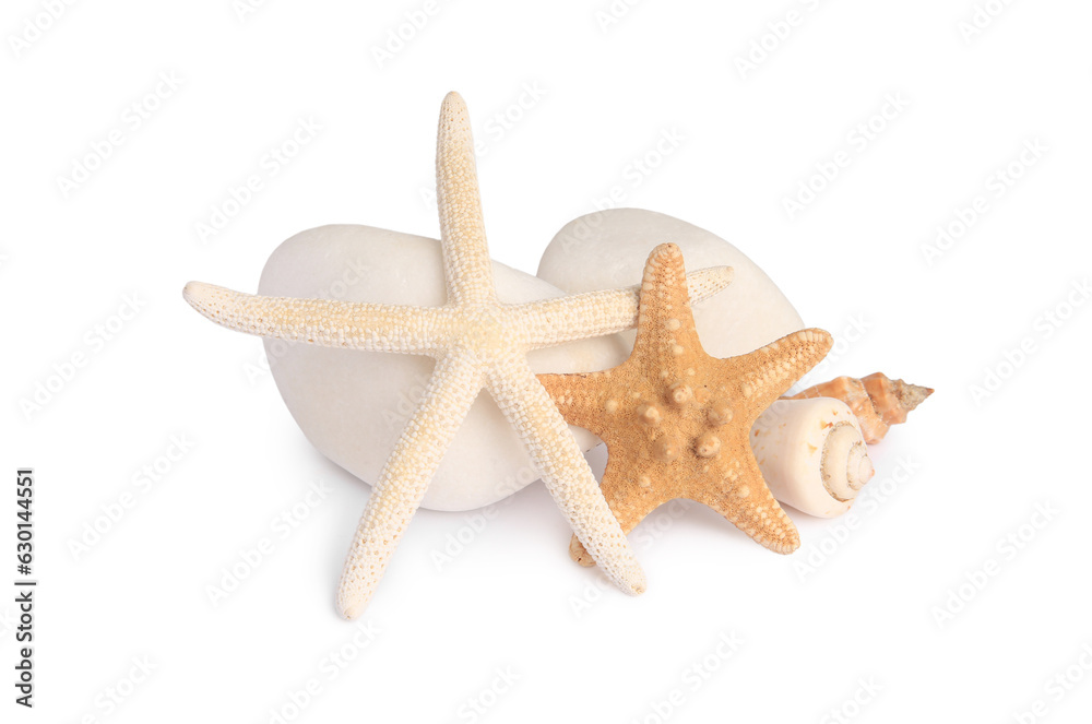 Beautiful sea stars, shells and stones isolated on white Beautiful sea stars, shells and stones isolated on white