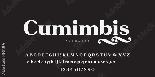 Modern serif alphabet letters font for cafe wedding display headli. Typography elegant classic lettering serif fonts and number decorative vintage retro concept for logo branding. vector illustration 