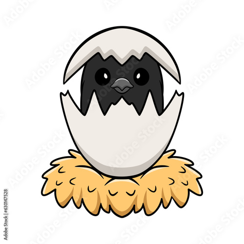 Cute red winged black bird cartoon inside from egg