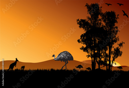 Family of emus and two Australian kangaroos in the outback of Australia with sunset background