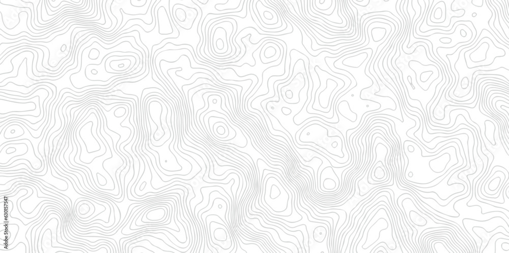 Panorama view gradient multicolor wave curve lines banner background design. Vector illustration. Black and white topography contour lines map isolated on white background.