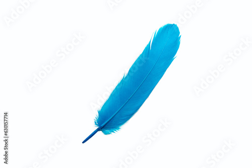 Delicate blue bird feather with texture