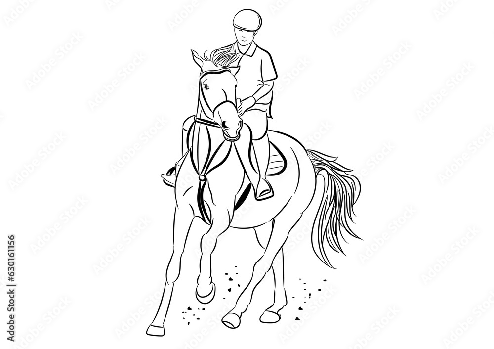 Obraz premium graphics image drawing Jockey riding a horse outline stroke line Vector transparency