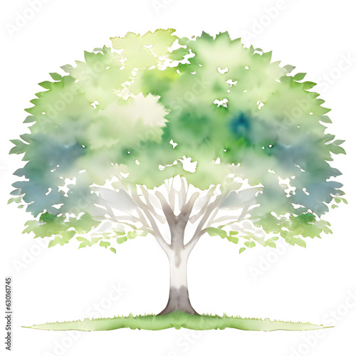 Watercolor greenery leaves tree with leaves 