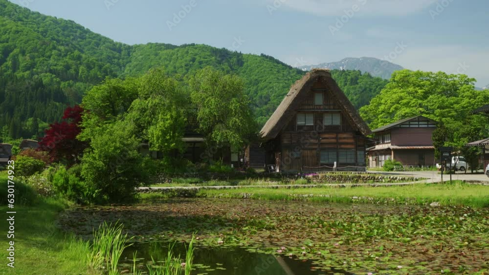Establishing a triangle-shaped house and a lake with lotto flowers in Shirakawago Japan in daylight Establishing a triangle-shaped house and a lake with lotto flowers in Shirakawago Japan in daylight