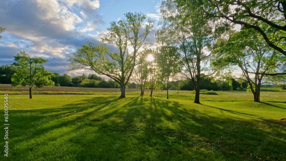 POV shot while walking through green grasslands with sunlight shining through trees during morning time. POV shot while walking through green grasslands with sunlight shining through trees during morning time.