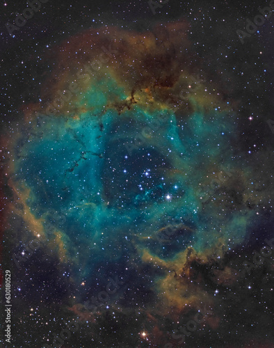 Rosette nebula 