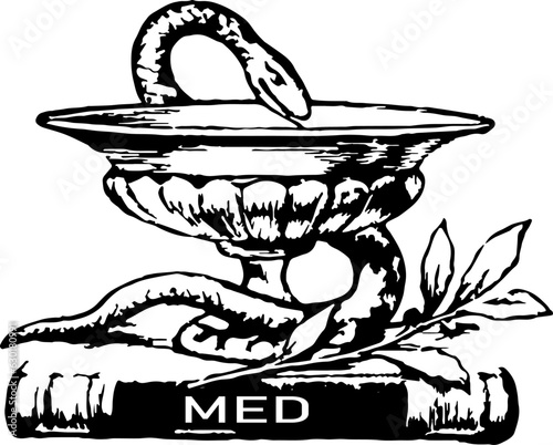 The sign of medicine is a snake and a bowl on a white background. silhouette. vector