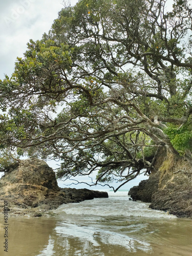 Fototapeta Naklejka Na Ścianę i Meble -  Cloudy and windy day at Waipu Cove, Whangarei District, New Zealand.