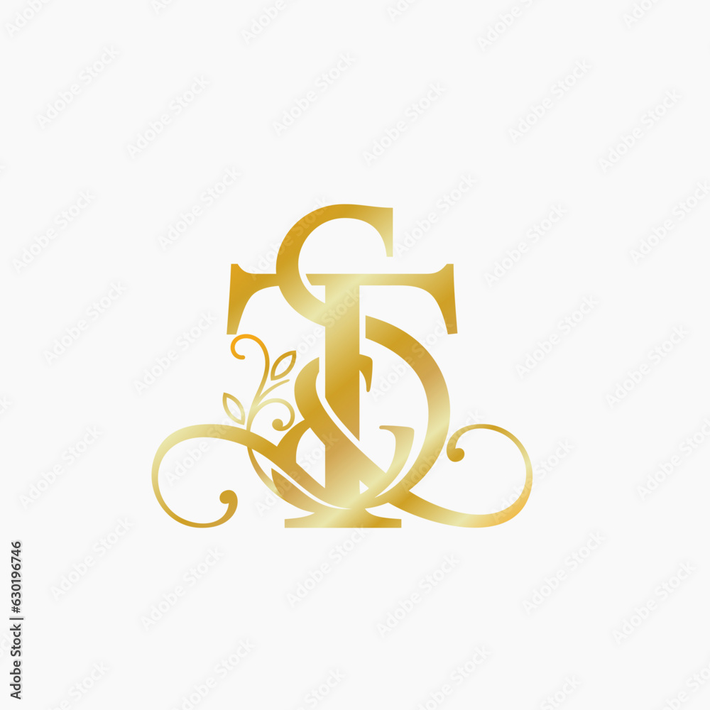S&T Letter Luxury Logo Design. Creative Modern S&T Letter Luxury Logo Design. Creative Modern