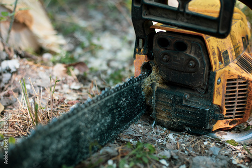 Wallpaper Mural a old chain saw in a forest ground Torontodigital.ca