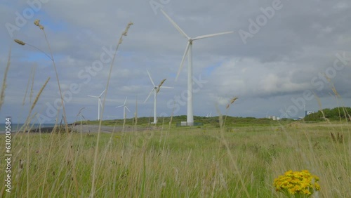 Approaching windmills through blowing grasses on cloudy summer day. Half speed slow motion. photo