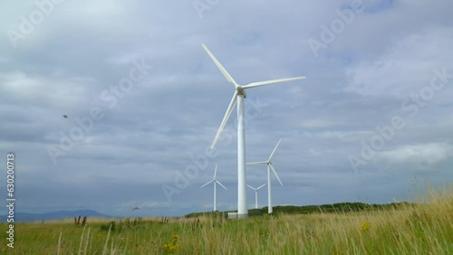 Rise up from grass level revealing rotating wind turbines against cloudy summer sky with bumblebee buzzing in and out of frame. Half speed slow motion. photo