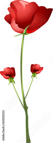 flowers on the rose branch