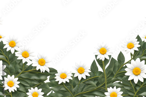 frame of flowers isolated on transparent background