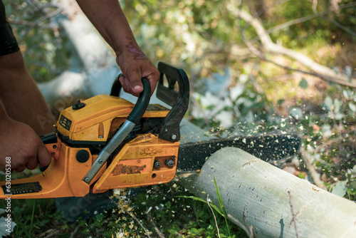 Wallpaper Mural a chainsaw cutting the the wood in a close up Torontodigital.ca