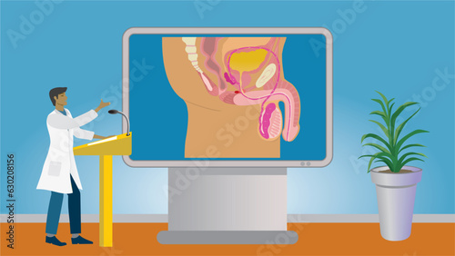 man in lecture about the mens reproduction system and penis. gesturing and standing in front of big modern screen for education. dimension 16:9. vector illustration.