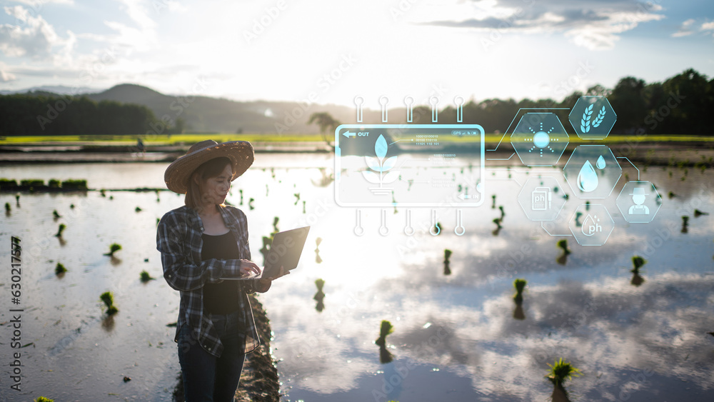 Smart Farming With Iot Growing Rice Farming With Infographics Smart