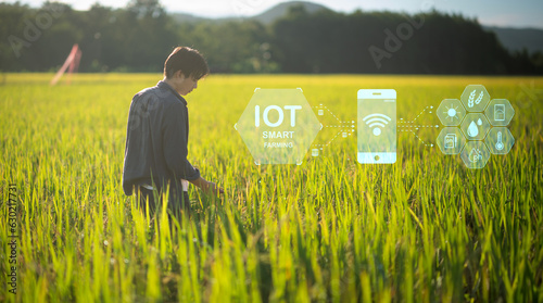 Smart Farming with IoT Rice Farming with Infographics Smart agriculture and precision agriculture industry with modern technology to develop his farm for better productivity in the future.