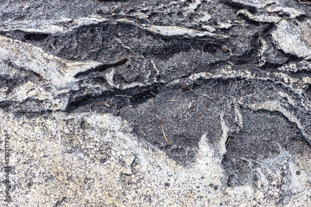 Naklejka premium A close-up shot of the surface of a wild stone