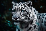 closeup portrait of a white tiger with blue eyes. Wild beauty of the most dangerous beast of the world. the biggest cat. Beautiful wild siberian tiger portrait close up. Black and white jaguar