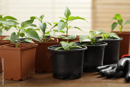 Seedlings growing in plastic containers with soil and gardening gloves on wooden table