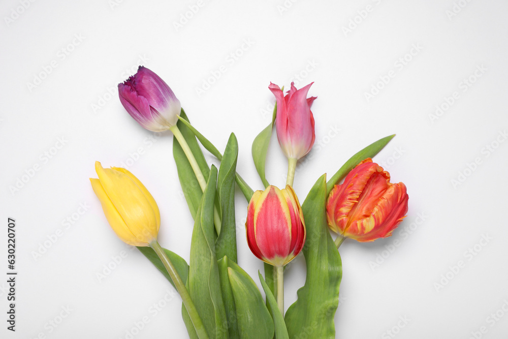 Fototapeta premium Beautiful colorful tulip flowers on white background, flat lay