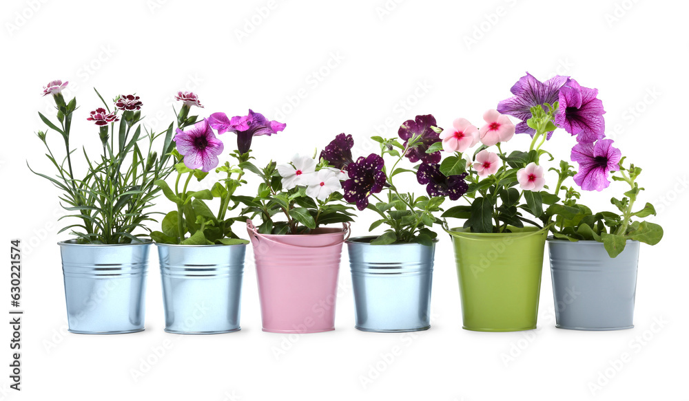 Different flowers in metal pots isolated on white
