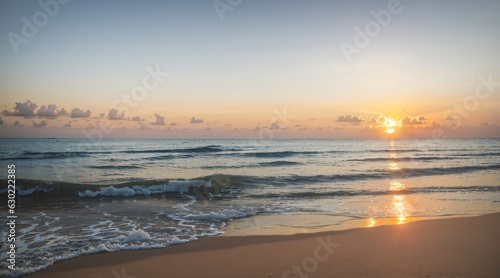 sunset at tropical beach and coconut tree