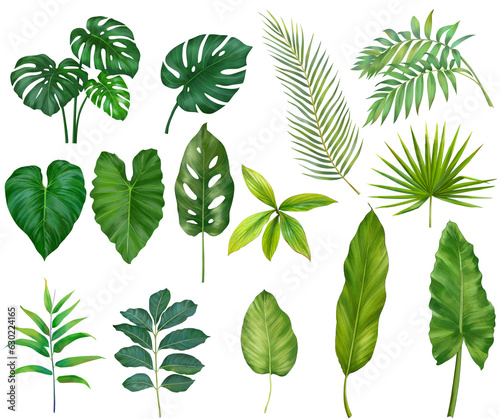 single element of plants