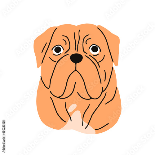 French Mastiff breed, dog avatar. Cute Bordeauxdog, head portrait. Canine fac...