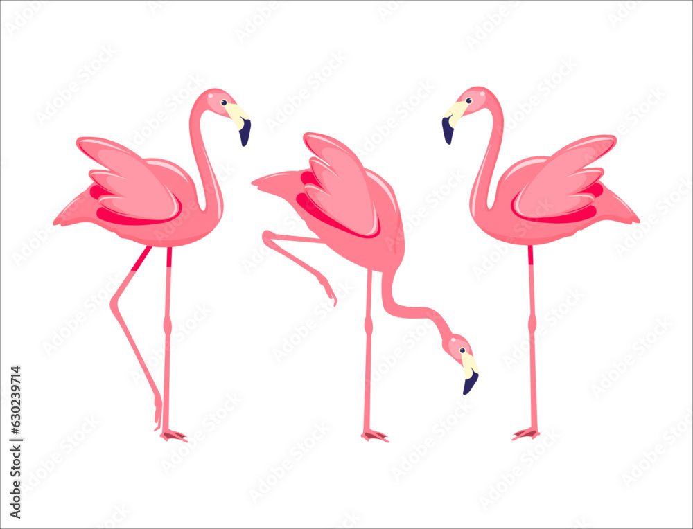 Obraz premium vector with pink flamingos in different poses. set of flamingo poses