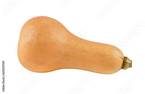 butternut squash on transparent png