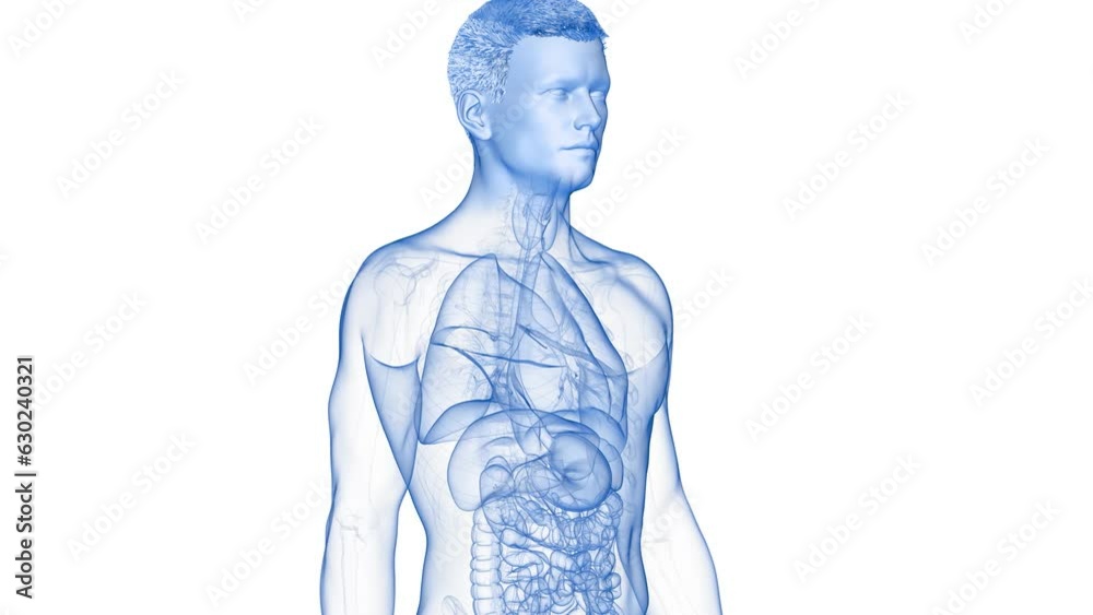 Animation of a neoplasm in the larynx
